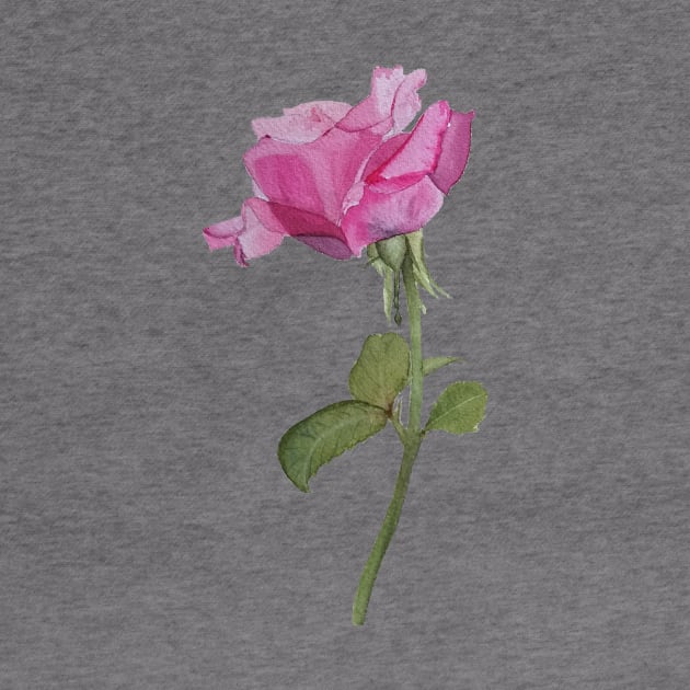 Watercolor rose by RosanneCreates